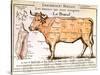 Beef: Diagram Depicting the Different Cuts of Meat-null-Stretched Canvas