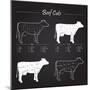 Beef Meat Cuts Scheme on Blackboard-ONiONAstudio-Mounted Premium Giclee Print