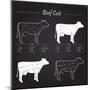 Beef Meat Cuts Scheme on Blackboard-ONiONAstudio-Mounted Art Print