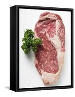 Beef Steak, Garnished with Parsley-null-Framed Stretched Canvas