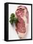 Beef Steak, Garnished with Parsley-null-Framed Stretched Canvas