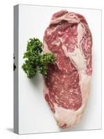 Beef Steak, Garnished with Parsley-null-Stretched Canvas