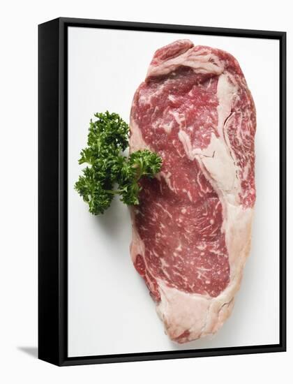Beef Steak, Garnished with Parsley-null-Framed Stretched Canvas