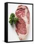 Beef Steak, Garnished with Parsley-null-Framed Stretched Canvas