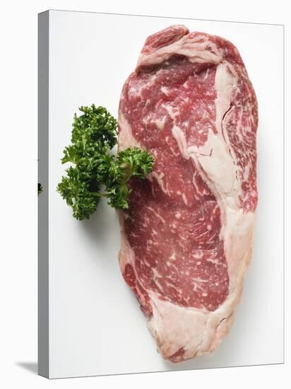 Beef Steak, Garnished with Parsley-null-Stretched Canvas