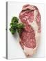 Beef Steak, Garnished with Parsley-null-Stretched Canvas