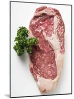 Beef Steak, Garnished with Parsley-null-Mounted Photographic Print