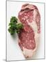 Beef Steak, Garnished with Parsley-null-Mounted Photographic Print