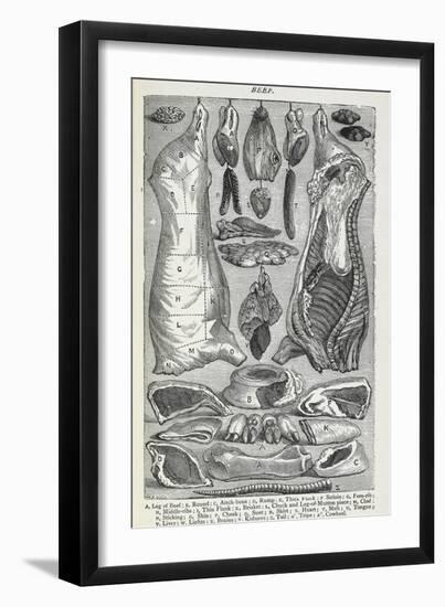 Beef. Various Joints and Cuts Of Beef-Isabella Beeton-Framed Giclee Print