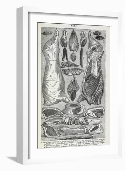 Beef. Various Joints and Cuts Of Beef-Isabella Beeton-Framed Giclee Print