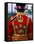 Beefeater, London, England-Steve Vidler-Framed Stretched Canvas