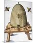 Wood Mount