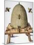 Wood Mount