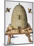 Wood Mount