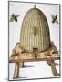 Wood Mount
