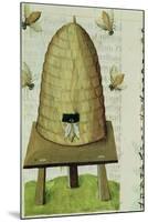 Beehive and Bees, from "Grand Herbier"-null-Mounted Premium Giclee Print