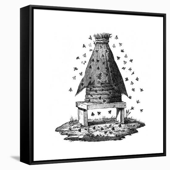 Beehive and Bees-null-Framed Stretched Canvas