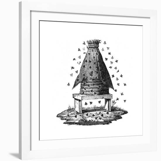 Beehive and Bees-null-Framed Giclee Print