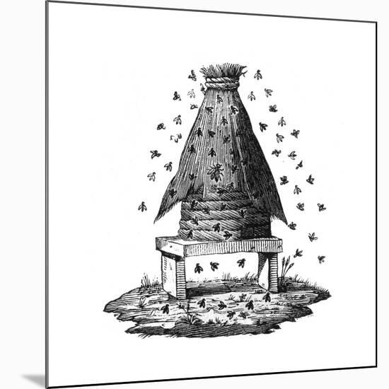 Beehive and Bees-null-Mounted Giclee Print