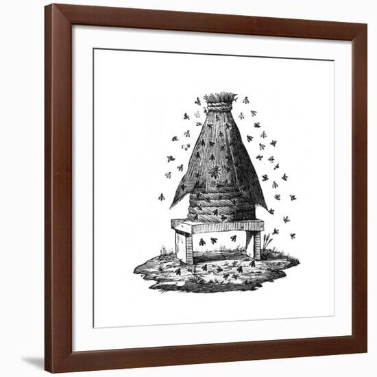 Beehive and Bees-null-Framed Giclee Print