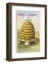 Beehive and One Bee-null-Framed Photographic Print