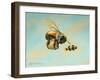 Beeing Egg Snatched-Linda Ridd Herzog-Framed Art Print