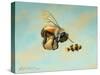 Beeing Egg Snatched-Linda Ridd Herzog-Stretched Canvas