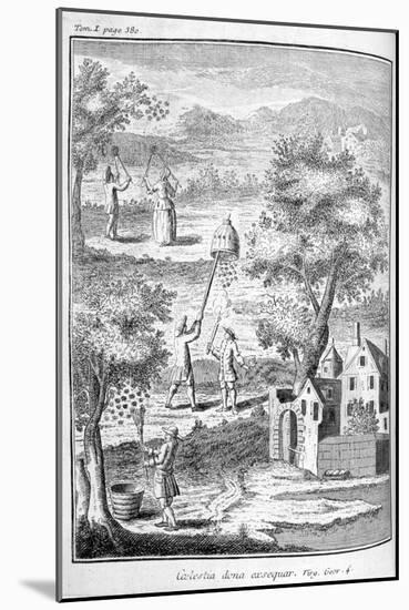 Beekeeping, 1775-null-Mounted Giclee Print