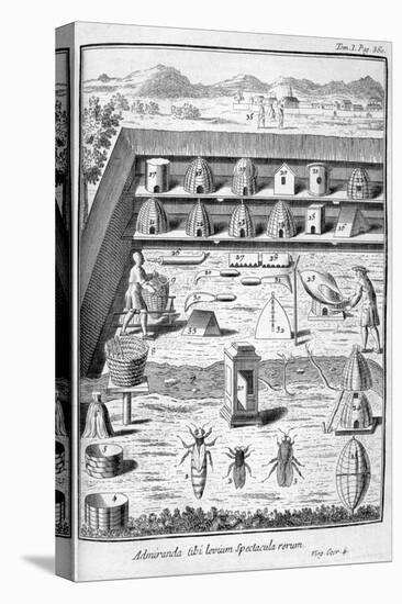 Beekeeping, 1775-null-Stretched Canvas