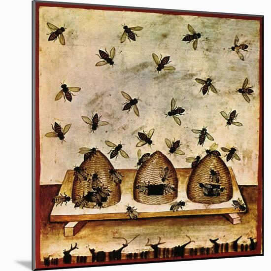 Beekeeping, Arabic Medical Book, 14th C-Science Source-Mounted Giclee Print