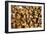 Beekeeping at Vietnam, Beehive, Bee Honey-xuanhuongho-Framed Photographic Print