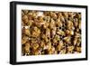 Beekeeping at Vietnam, Beehive, Bee Honey-xuanhuongho-Framed Photographic Print