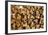 Beekeeping at Vietnam, Beehive, Bee Honey-xuanhuongho-Framed Photographic Print