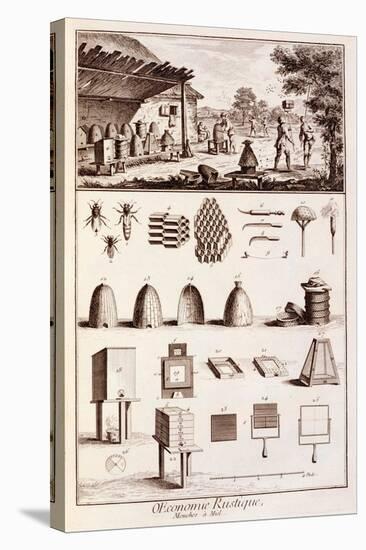 Beekeeping, from 'Dictionary of Sciences', C.1770-Denis Diderot-Stretched Canvas