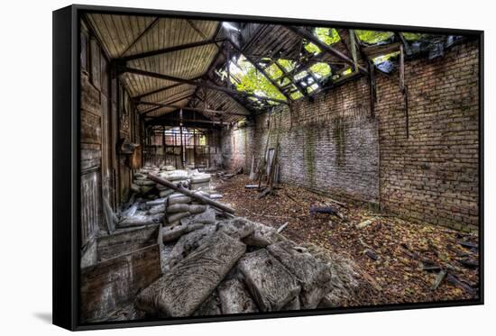 Beelitz Heilstätten-kre_geg-Framed Stretched Canvas