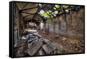 Beelitz Heilstätten-kre_geg-Framed Stretched Canvas