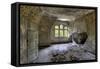 Beelitz Heilstätten-kre_geg-Framed Stretched Canvas