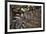 Beelitz Heilstätten-kre_geg-Framed Photographic Print