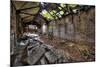 Beelitz Heilstätten-kre_geg-Mounted Photographic Print