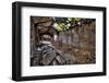 Beelitz Heilstätten-kre_geg-Framed Photographic Print