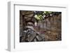 Beelitz Heilstätten-kre_geg-Framed Photographic Print