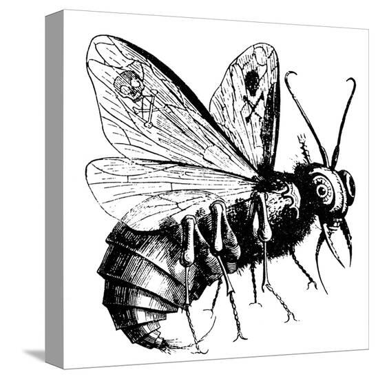 Stretched Canvas Print, , large
