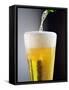 Beer Being Poured into a Glass-Winfried Heinze-Framed Stretched Canvas