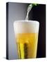 Beer Being Poured into a Glass-Winfried Heinze-Stretched Canvas