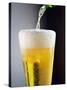 Beer Being Poured into a Glass-Winfried Heinze-Stretched Canvas