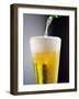 Beer Being Poured into a Glass-Winfried Heinze-Framed Photographic Print