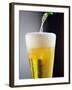 Beer Being Poured into a Glass-Winfried Heinze-Framed Photographic Print