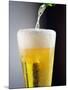 Beer Being Poured into a Glass-Winfried Heinze-Mounted Photographic Print