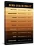 Beer Brewers Reference Chart Print Poster-null-Stretched Canvas