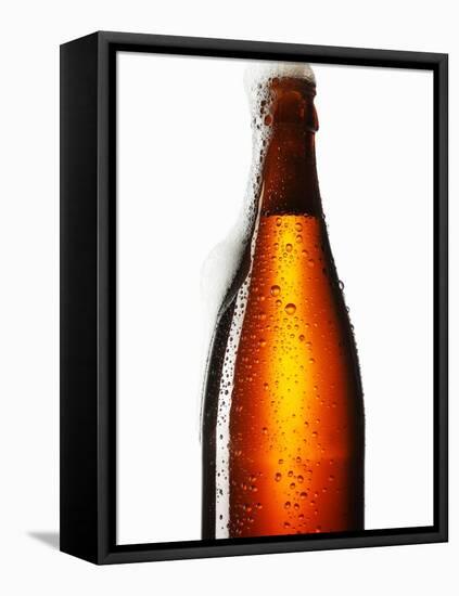 Beer Frothing Out of Bottle-Kröger & Gross-Framed Stretched Canvas